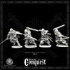 Viking Warriors (Hirdmen) in mail with Swords for Footsore Miniatures 'Conquest' range.