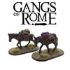 Pack Mules