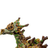 Quercus the Forest Wyrm