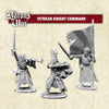 Three miniature figures of a veteran knight command on a textured beige background with 'The Barons War' branding.