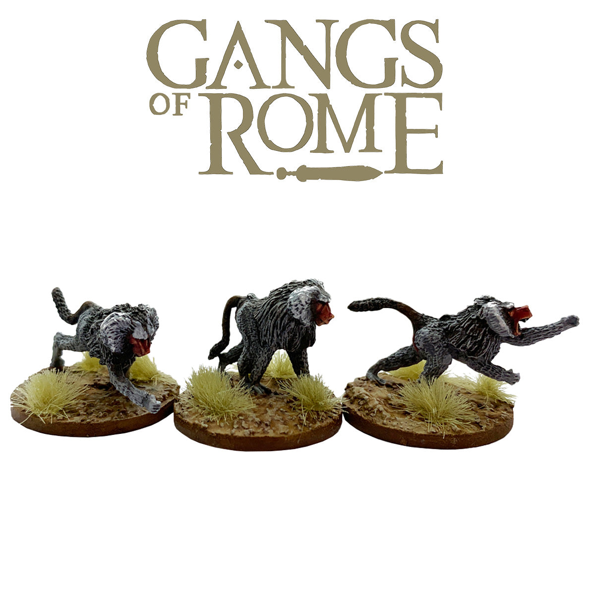 Band of Baboons