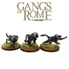 Band of Baboons