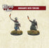 Sergeants with torches