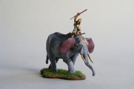 Bare-back War Elephant