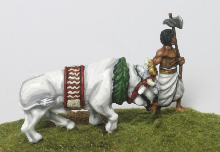 Sacred Bull