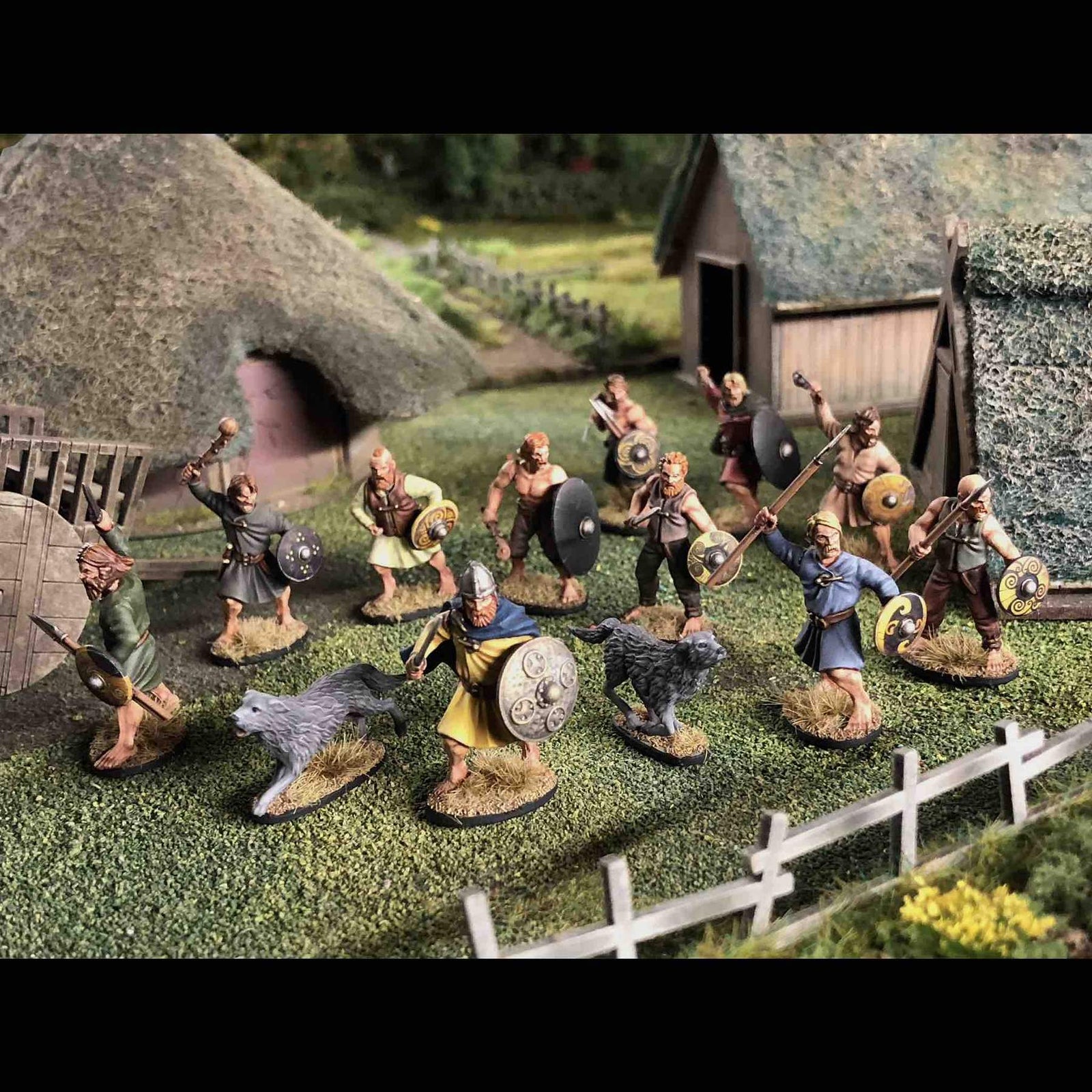 Dark Age Irish Warriors