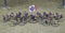 Irish Skirmish Warband for SAGA