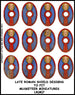 Late Roman Shield Transfer LR(FM)7