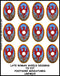 Late Roman Shield Transfer LR(FM)15