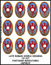 Late Roman Shield Transfer LR(FM)15