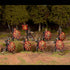 Late Roman Legionaries (1): Lorica Hamata Box Set