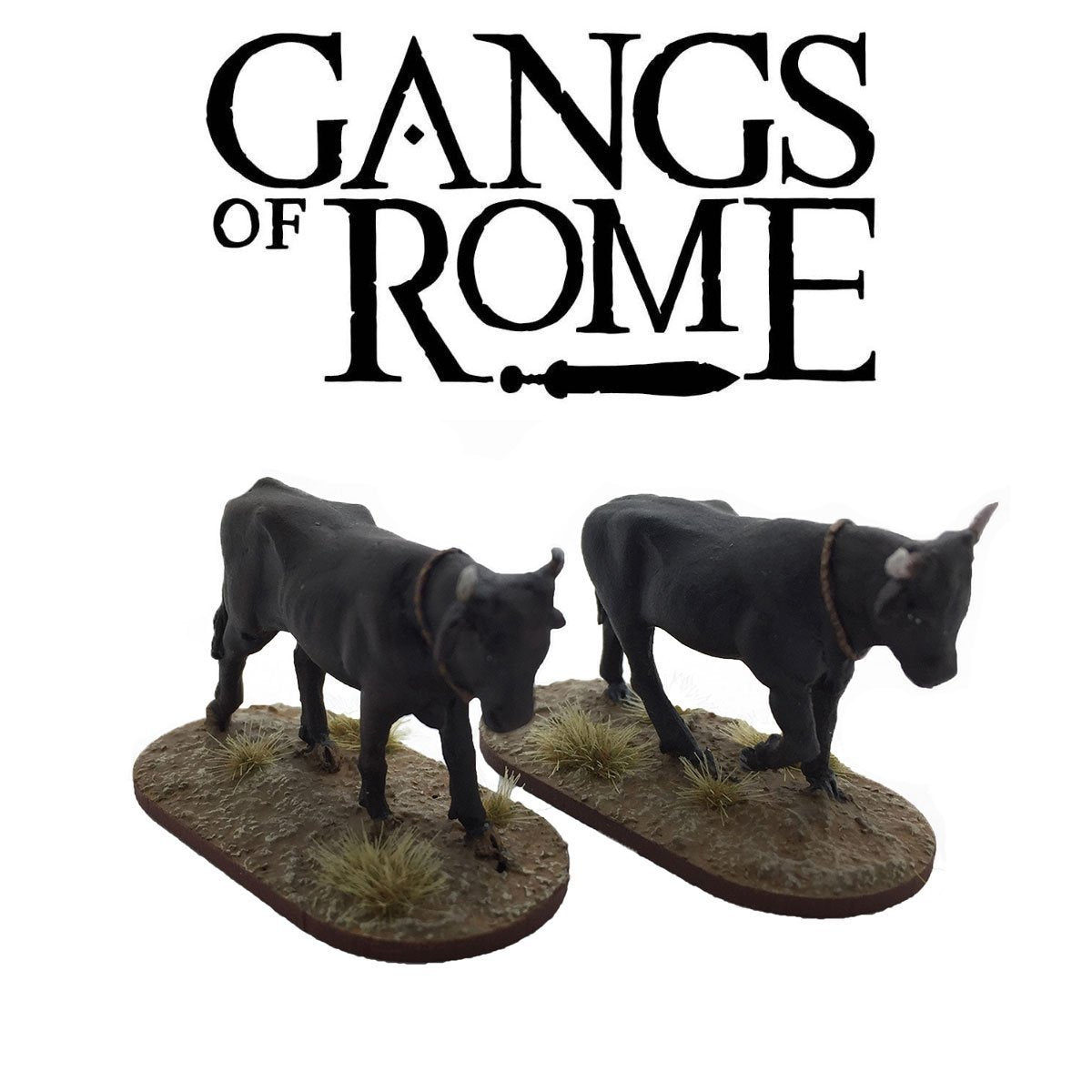 Oxen