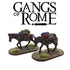 Pack Mules